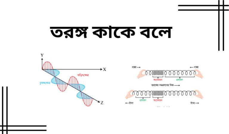 তরঙ্গ কাকে বলে