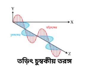 তরঙ্গ কাকে বলে