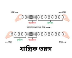 তরঙ্গ কাকে বলে